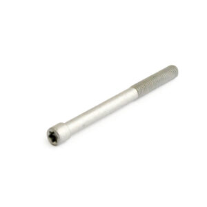 Cylinderskruv höghållfasthet 70mm